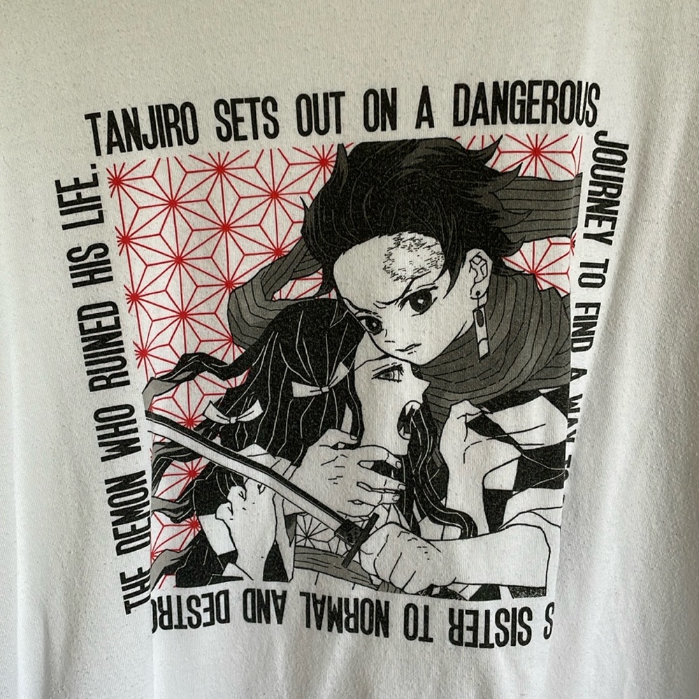 Uniqlo - Demon Slayer / kimetsu no yaiba - Tanjiro tee Worn